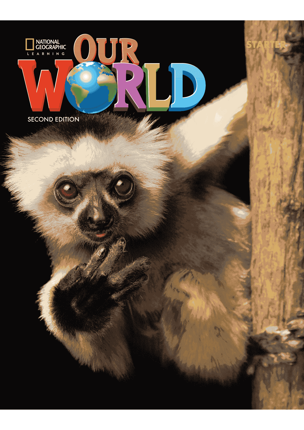 Our World